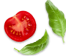 chefeShape1_1 chefeShape1_1